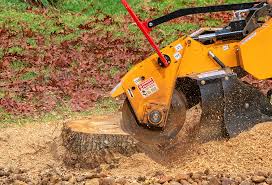 Best Aeration Services  in Lewistown, IL