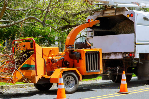 Best Utility Line Clearance  in Lewistown, IL